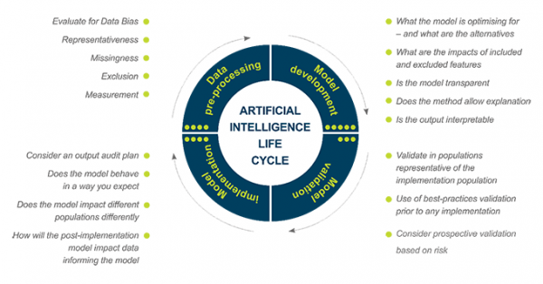 The AI life cycle has 4 stages: data-preprocessing, model development, model valudation and model implementation. Data pre-processing includes evaluate for data bias, representativeness, missingness, exclusion and measurement. Model development includes what the model is optimising for - and what are the alternatives, what are the impacts of included and excluded features, is the model transparent, does the method allow explanation and is the output interpretable. Model validation includes validate in populations representative of the implementation population, use of best-practices validation prior to any implementation and consider prospective validation based on risk. Model implementation includes consider an output audit plan, does the model behave in a way you expect, does the model impact different populations differently and how will the post-implementation model impact data informing the model. 