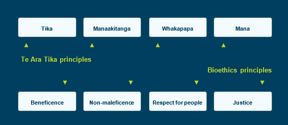 Te Ara Tika principles are tika, manaakitanga, whakapapa and mana. Bioethics principles are beneficence, non-maleficence, respect for people and justice. 
